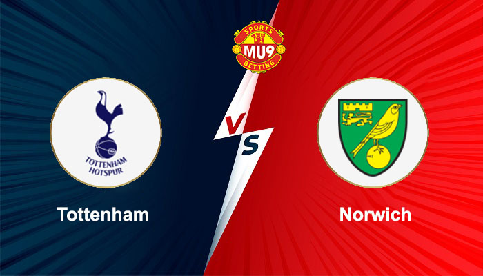 Tottenham vs Norwich