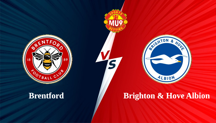 Brentford vs Brighton & Hove Albion