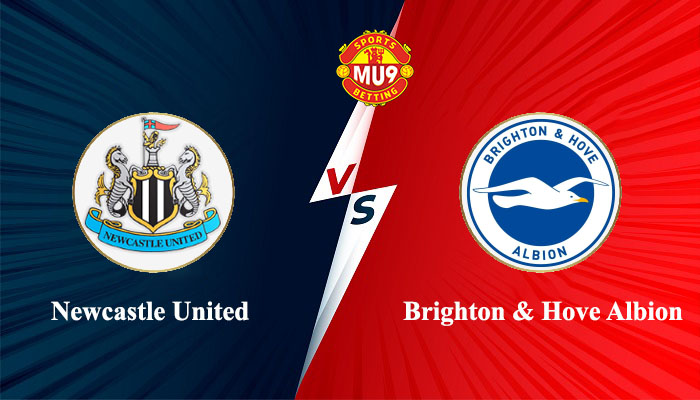 Newcastle United vs Brighton & Hove Albion
